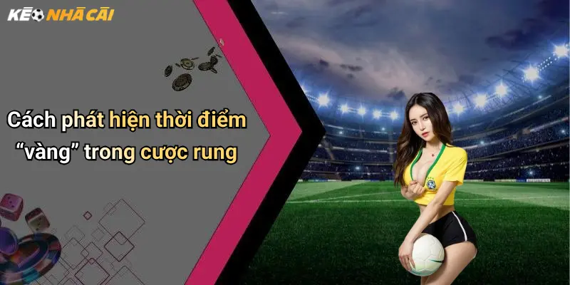 Cách phát hiện thời điểm “vàng” trong cược rung