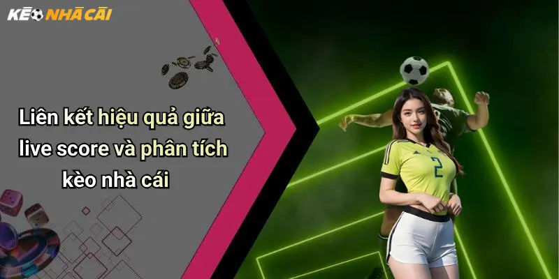 Liên kết hiệu quả giữa live score và phân tích kèo nhà cái