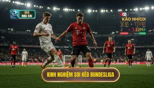 Kinh nghiệm soi kèo Bundesliga