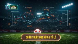 Phần 2_ Chiến Thuật Đọc Kèo và Biến Động Tỷ Lệ