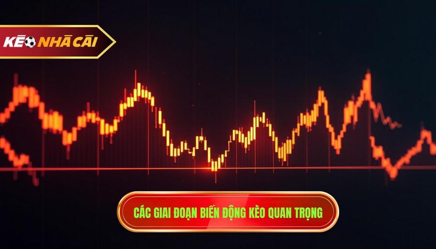 Các giai đoạn biến động kèo quan trọng