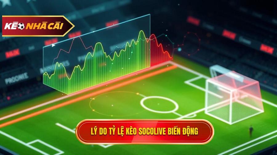 Phân tích đa chiều: Tại sao tỷ lệ kèo bóng đá Socolive lại biến động?