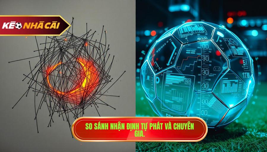 So sánh nhận định tự phát và chuyên gia.